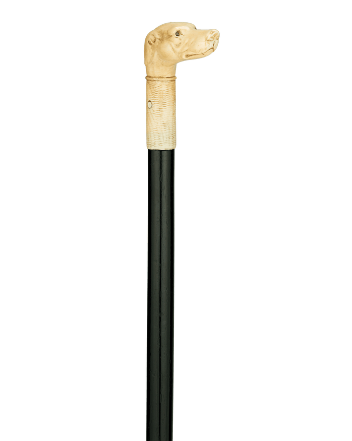 Bone Dog Cane