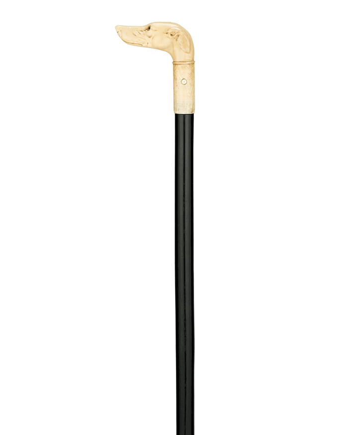 Bone Dog Cane