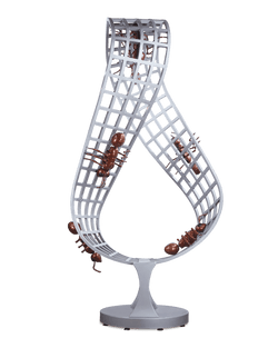 Escher-Inspired Mobius Strip II by Zadora-Gerlof