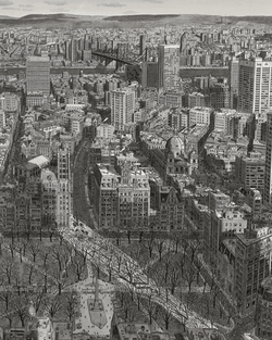 Winter Shadows, New York by Stefan Bleekrode