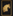 Gold Tang China Horse Head