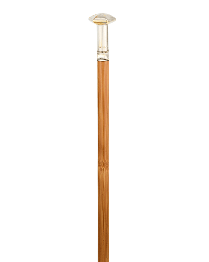 Woman’s Writer Cane