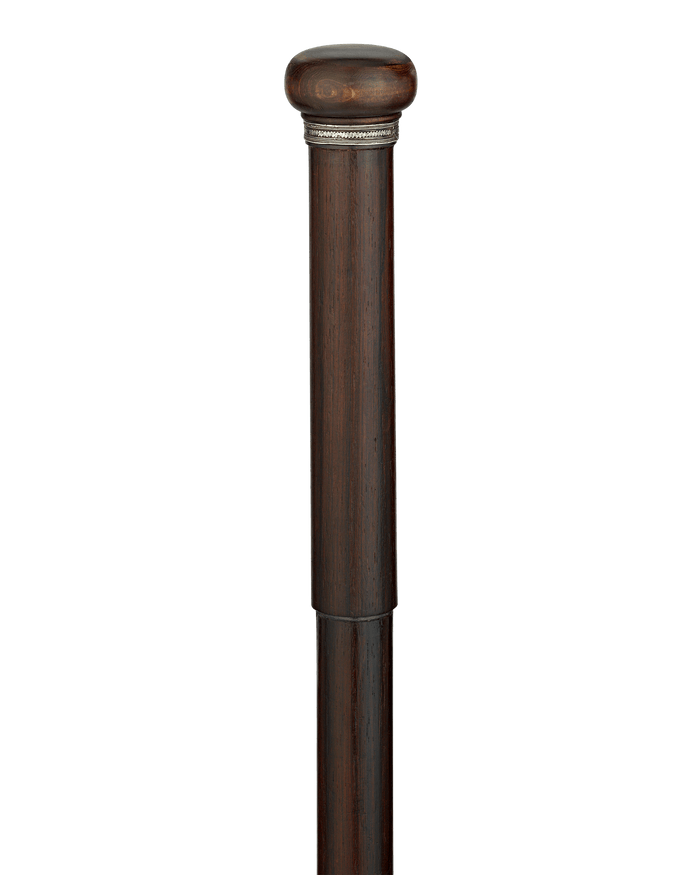 Artist's Easel Cane