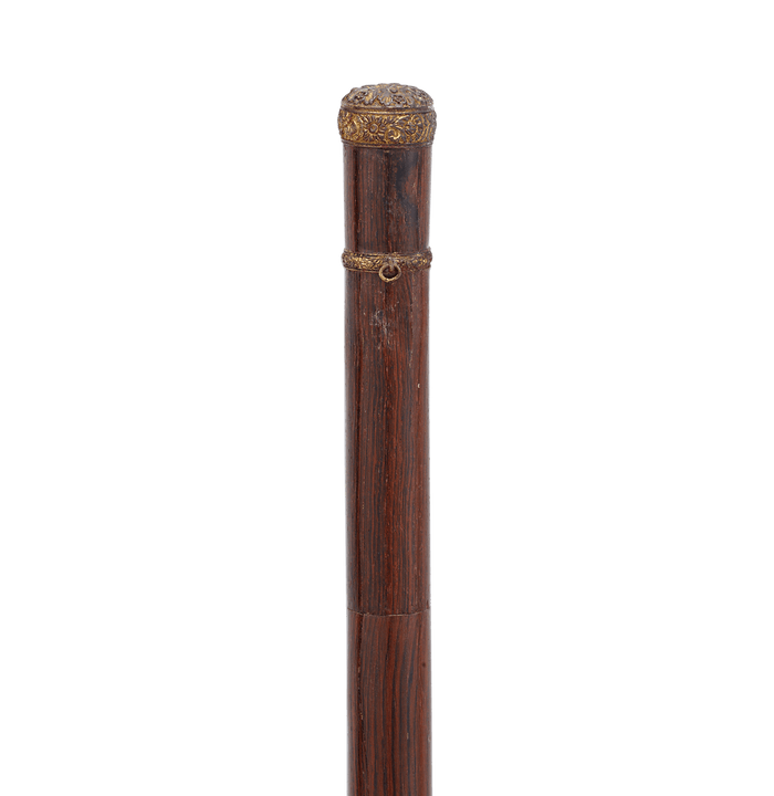 Spyglass Cane
