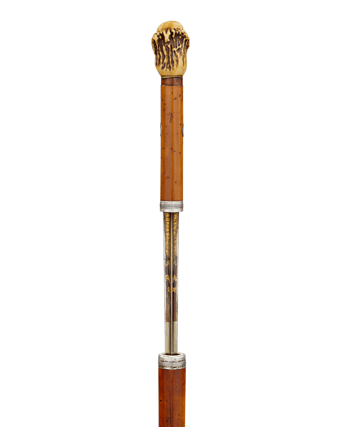 Assassin's Dagger Cane