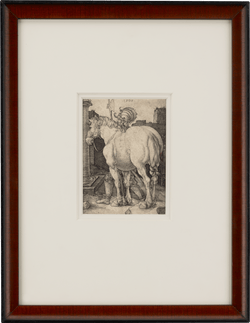 The Large Horse by Albrecht Dürer