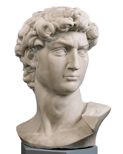 Head of David after Michelangelo