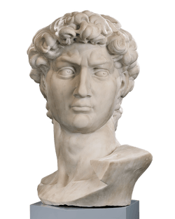 Head of David after Michelangelo