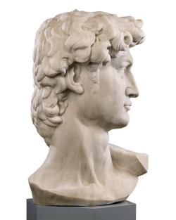 Head of David after Michelangelo