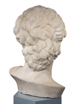 Head of David after Michelangelo