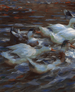 Sixteen Ducks in the Evening by Alexander Koester